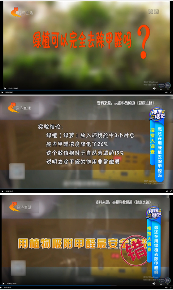 绿植真能除甲醛吗？