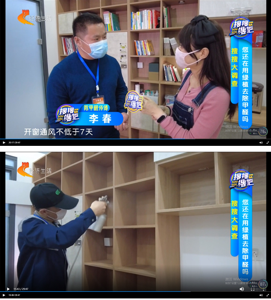 绿植真能除甲醛吗？