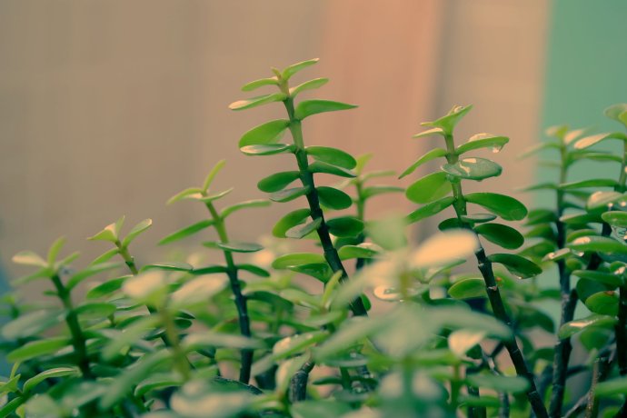 空气净化非常重要吗,具体有什么样的方式? 空气净化非常重要吗,具体有什么样的方式?