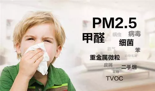 除甲醛服务后的效果