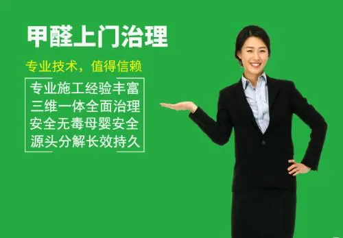 专业的人做专业的事！去甲醛找专业公司