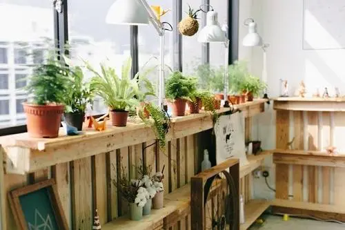 北京除甲醛公司十大品牌都有哪些？