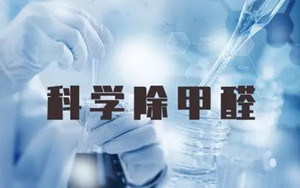 去甲醛选择专业公司有什么好处