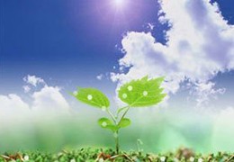 张艺总经理应邀考察中国科学院重庆绿色智能技术研究院