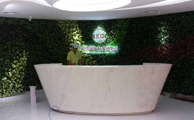 碧桂园国际展销中心室内除甲醛净化项目